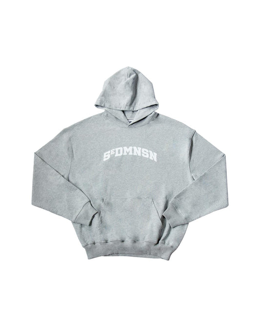 VARSITY HOODIE - GREY